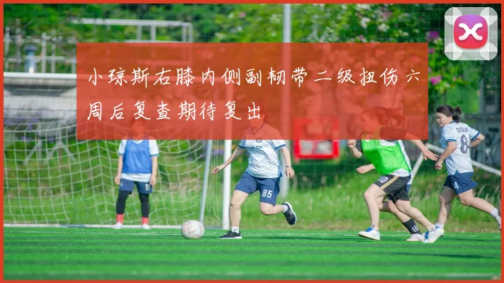 小琼斯右膝内侧副韧带二级扭伤六周后复查期待复出