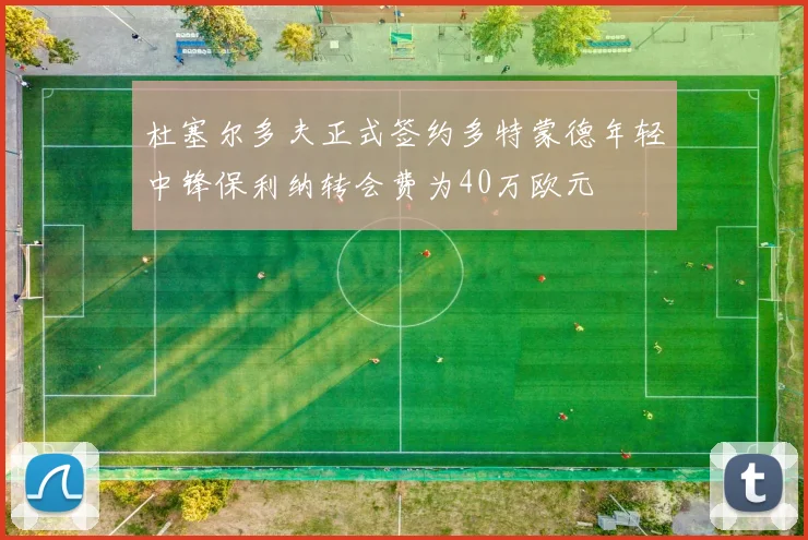 杜塞尔多夫正式签约多特蒙德年轻中锋保利纳转会费为40万欧元