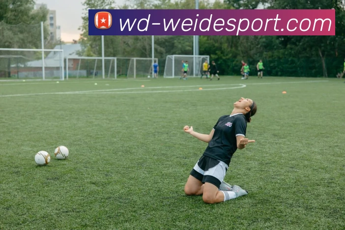 伟德体育平台生态图