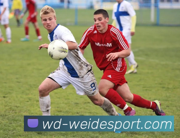 伟德体育APP 封面图