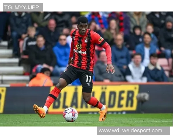 疯狂樱桃重建之路伯恩茅斯夏窗大换血后仅输利物浦一场